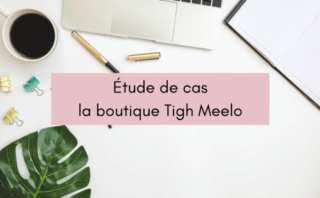 Étude de cas : la boutique Tigh Meelo