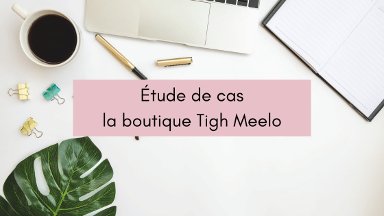 Étude de cas : la boutique Tigh Meelo